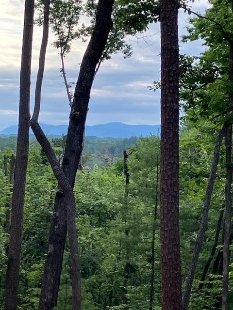 Lot 132 Red Oak Trail, Ellijay GA 30540 - Primary photo