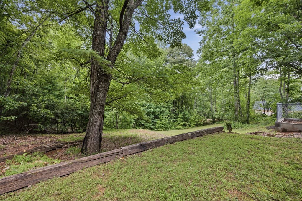 220 Penland Indian Trail, Hayesville NC 28904 - Photo