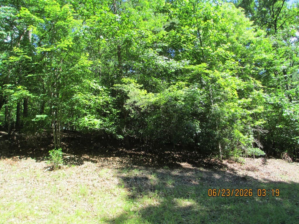 Lot 8 S Quail Cove Circle, Warne NC 28909 - Photo