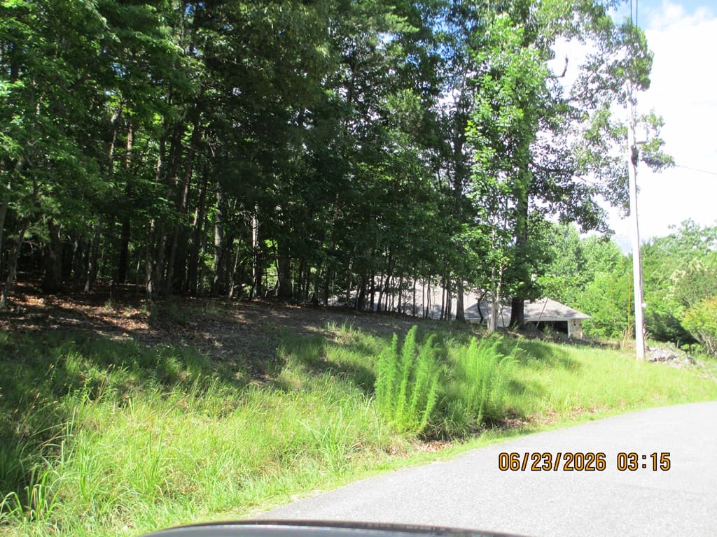 Lot 8 S Quail Cove Circle, Warne NC 28909 - Photo