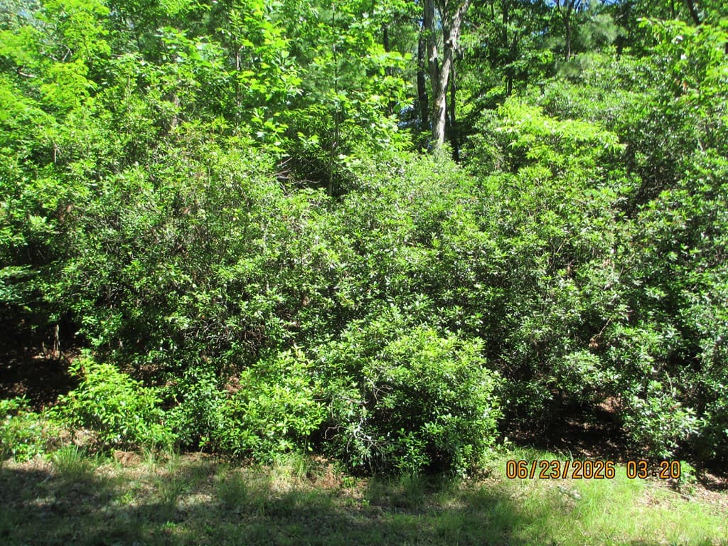 Lot 8 S Quail Cove Circle, Warne NC 28909 - Photo