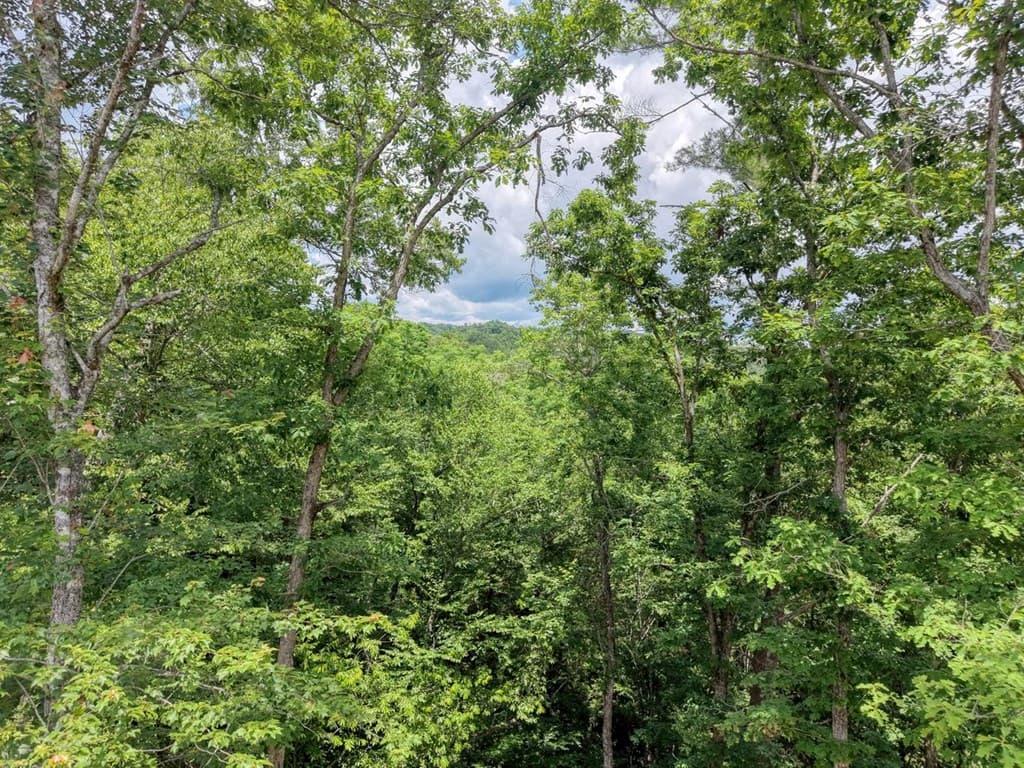 460 River Mountain Road, Murphy NC 28906 - Photo