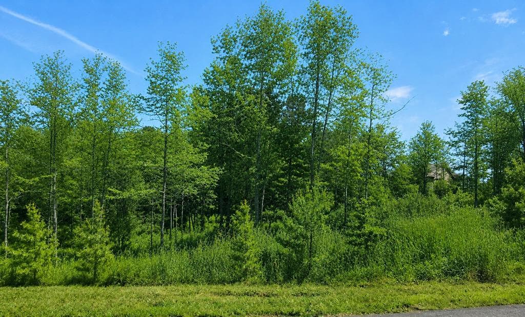 76 Water Oak Lane, Blairsville GA 30512 - Primary photo