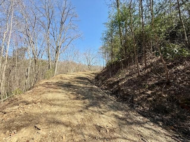 Lot 3 Wild Laurel, Brasstown NC 28902 - Photo