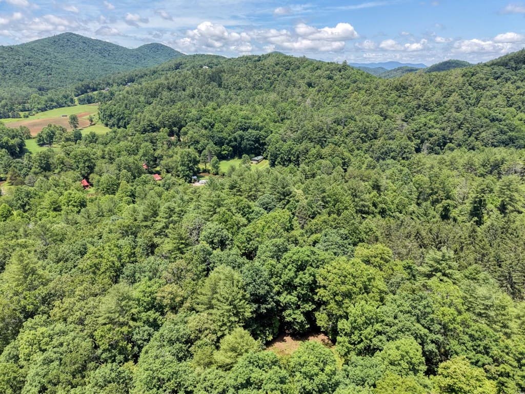 9258 Hwy 60, Suches GA 30572 - Photo