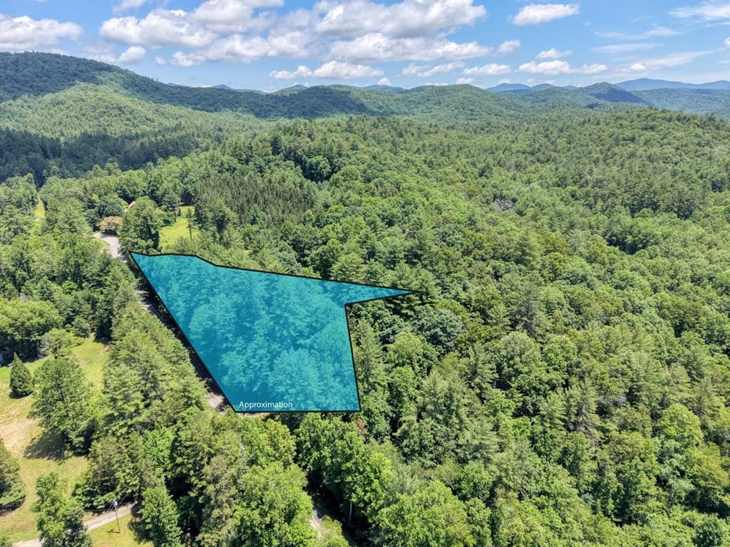 9258 Hwy 60, Suches GA 30572 - Photo