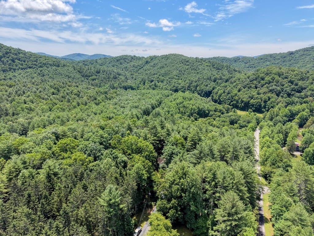 9258 Hwy 60, Suches GA 30572 - Photo