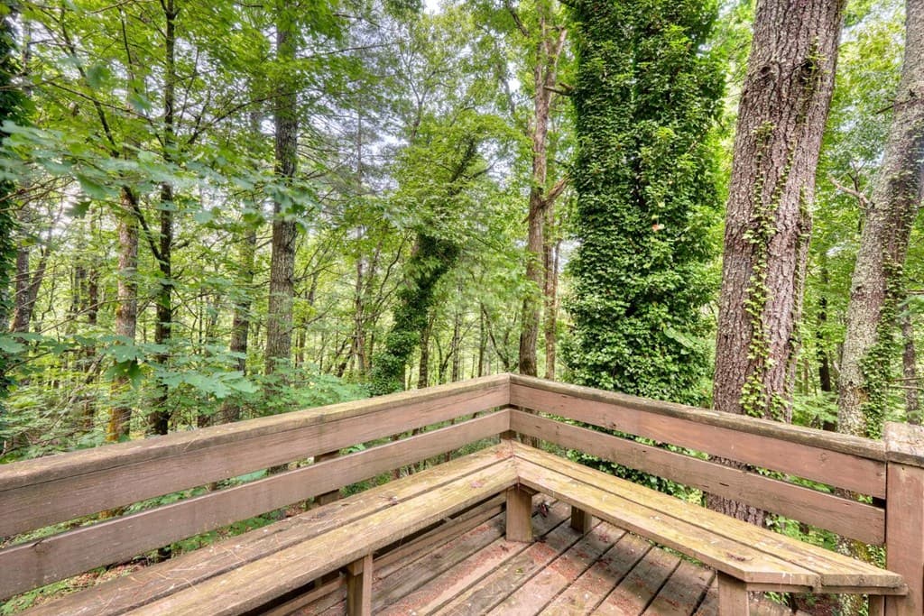 9258 Hwy 60, Suches GA 30572 - Photo