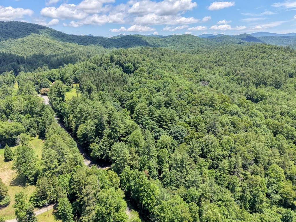 9258 Hwy 60, Suches GA 30572 - Photo