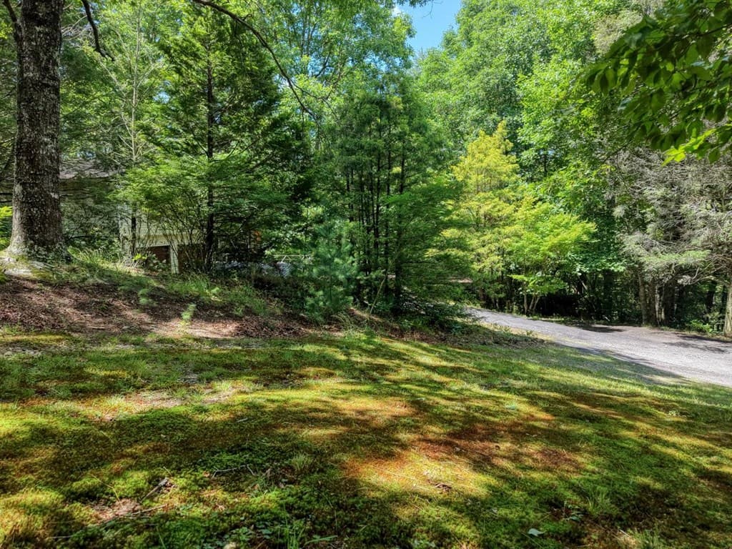 9258 Hwy 60, Suches GA 30572 - Photo