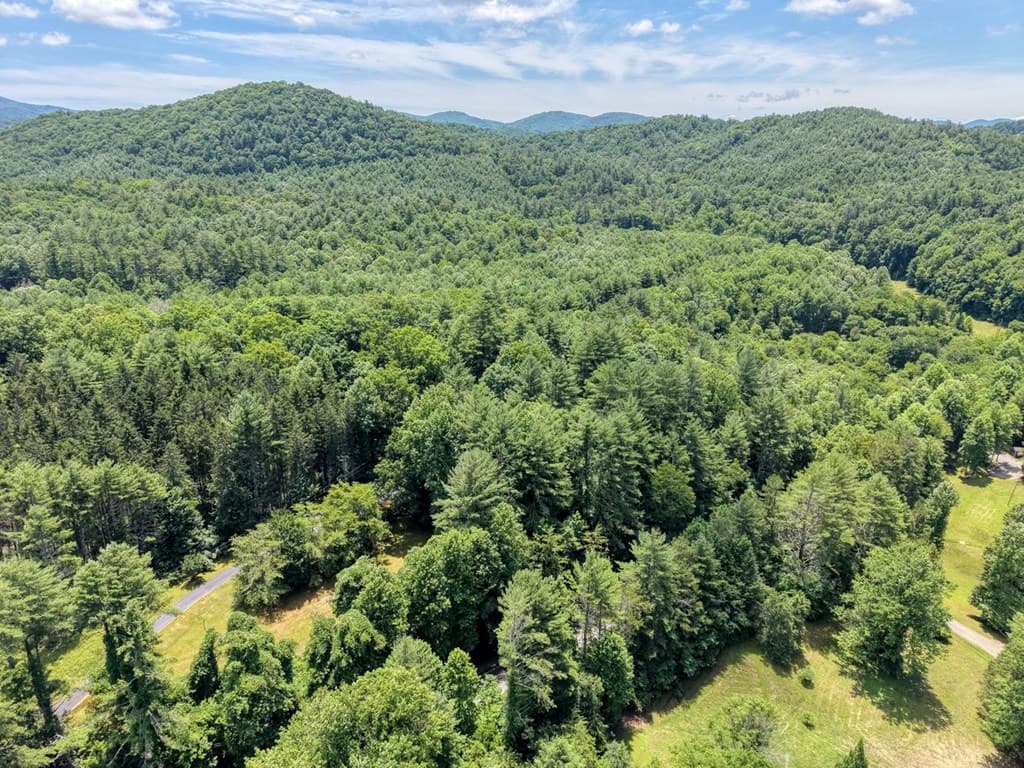 9258 Hwy 60, Suches GA 30572 - Photo