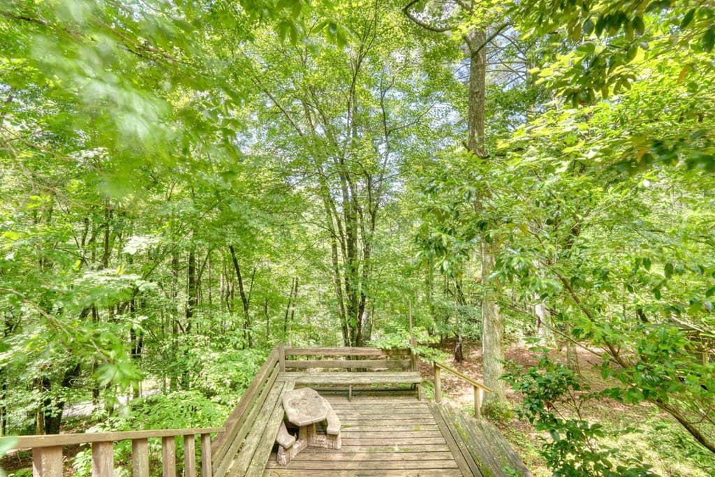 9258 Hwy 60, Suches GA 30572 - Photo