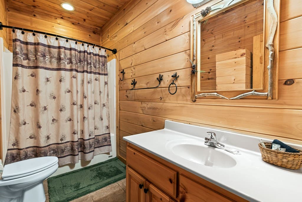 850 Mountain Lake Circle, Blue Ridge GA 30513 - Photo