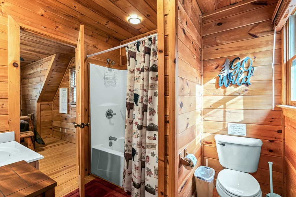850 Mountain Lake Circle, Blue Ridge GA 30513 - Photo