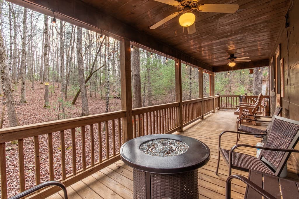 850 Mountain Lake Circle, Blue Ridge GA 30513 - Photo