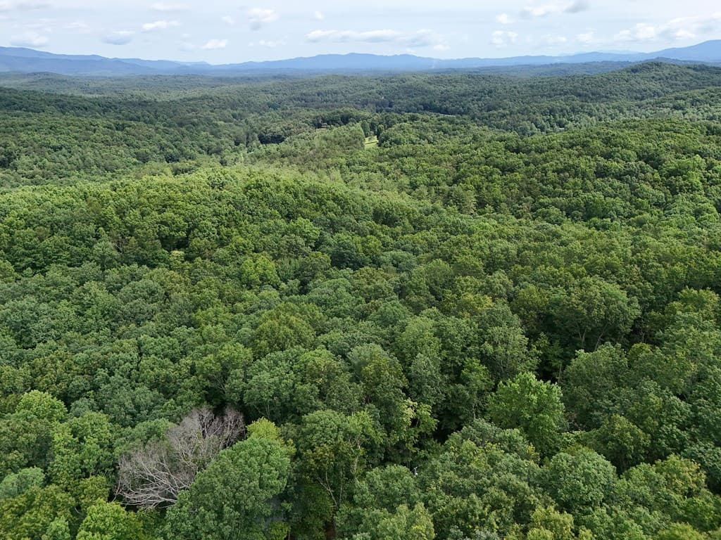 Lot 131 Laurel Crossing, Blue Ridge GA 30513 - Photo