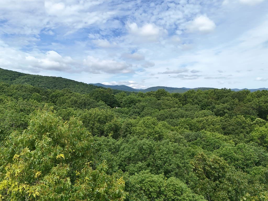 Lot 131 Laurel Crossing, Blue Ridge GA 30513 - Photo
