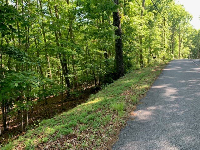 Lot 131 Laurel Crossing, Blue Ridge GA 30513 - Photo