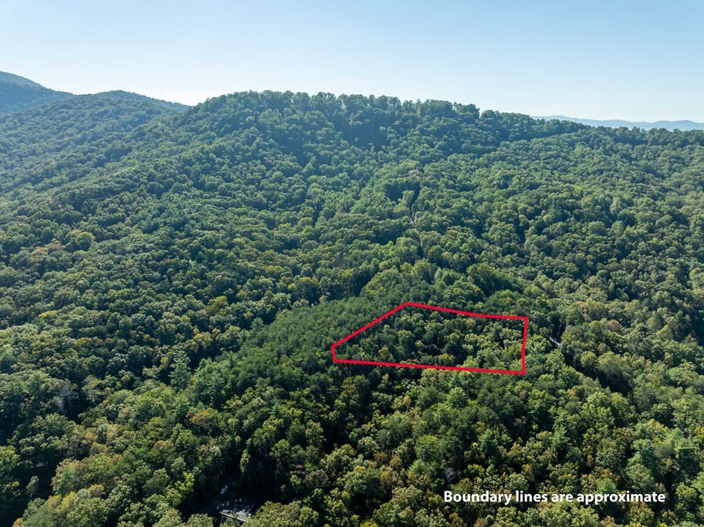 Tract 1 Turniptown Road, Ellijay GA 30536 - Photo