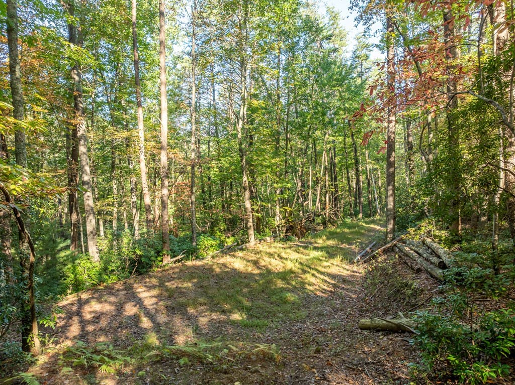 Tract 1 Turniptown Road, Ellijay GA 30536 - Photo