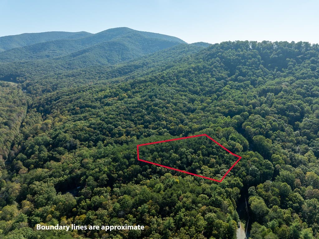 Tract 1 Turniptown Road, Ellijay GA 30536 - Photo