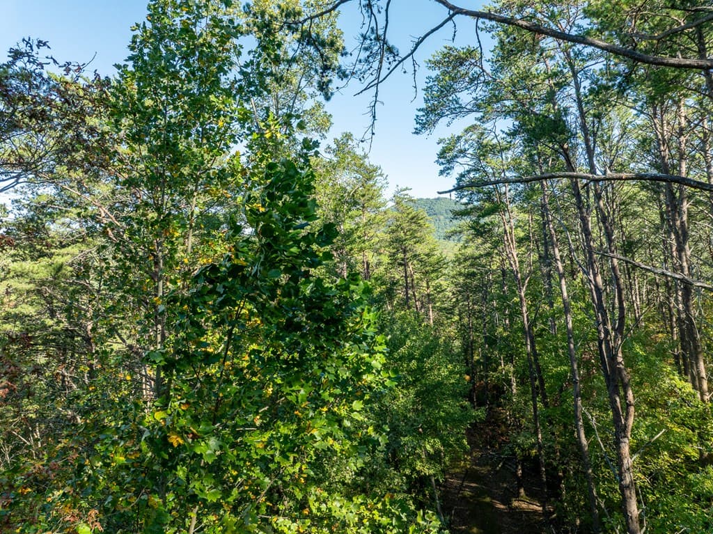 Tract 1 Turniptown Road, Ellijay GA 30536 - Photo