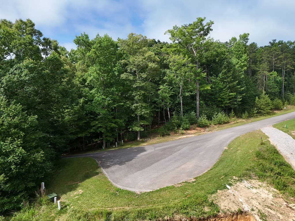 Lot 4 Courtney Lane, Blairsville GA 30512 - Photo