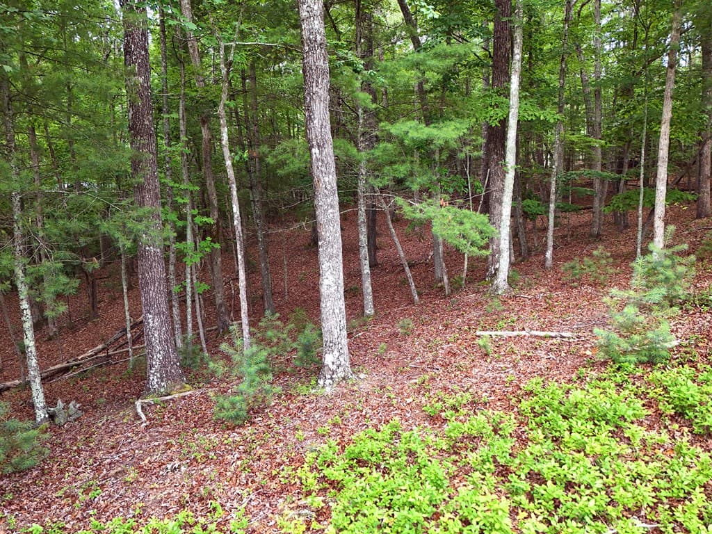 Lot 4 Courtney Lane, Blairsville GA 30512 - Photo