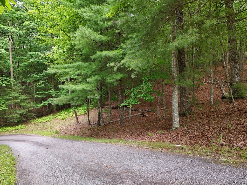 Lot 4 Courtney Lane, Blairsville GA 30512 - Photo