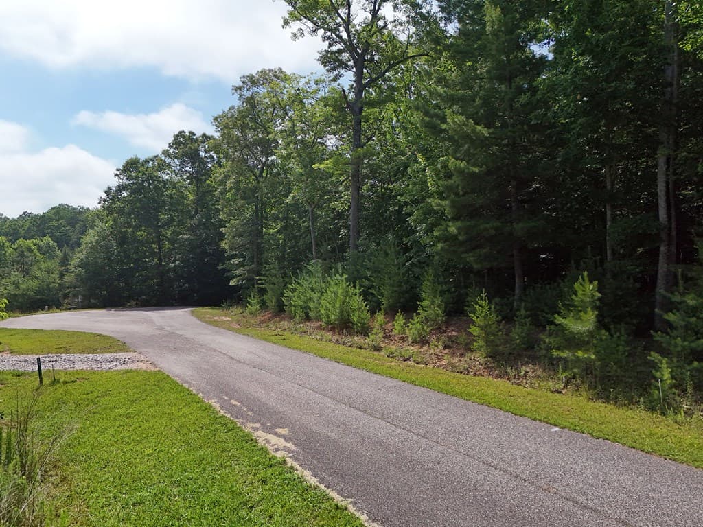 Lot 4 Courtney Lane, Blairsville GA 30512 - Photo