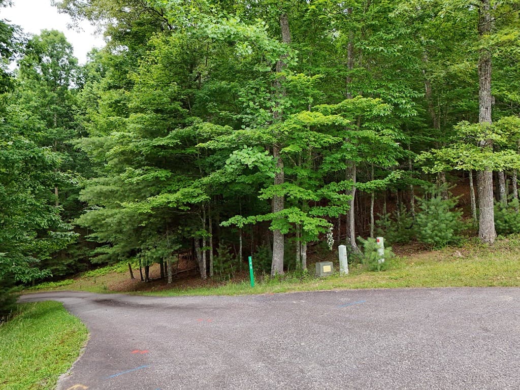 Lot 4 Courtney Lane, Blairsville GA 30512 - Photo