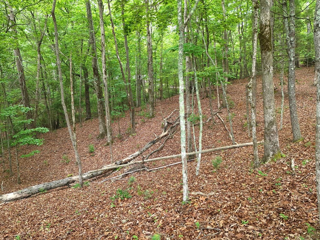 Lot 4 Courtney Lane, Blairsville GA 30512 - Photo
