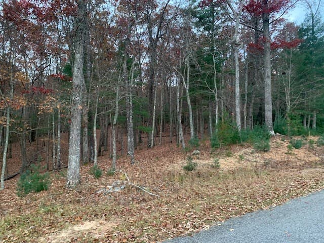 Lot 4 Courtney Lane, Blairsville GA 30512 - Photo
