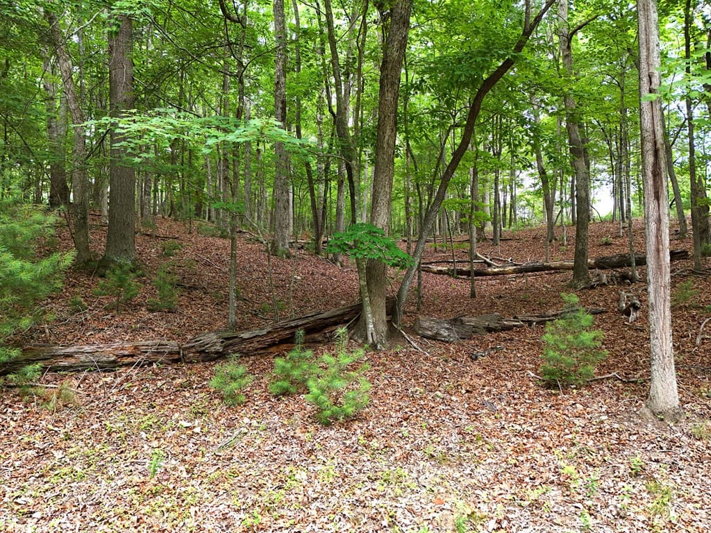Lot 4 Courtney Lane, Blairsville GA 30512 - Photo