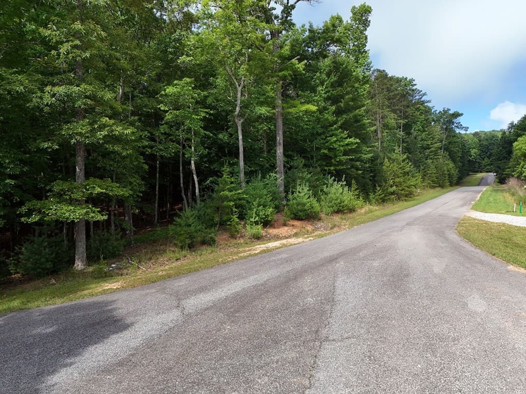 Lot 4 Courtney Lane, Blairsville GA 30512 - Photo