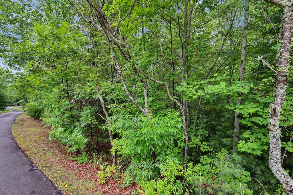 71 Lawrence Drive, Murphy NC 28906 - Photo