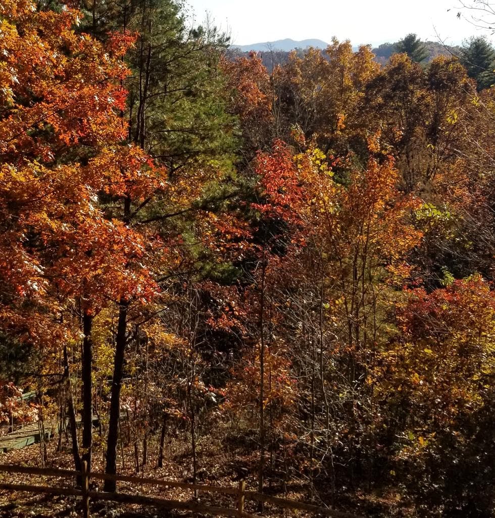 88 Meadowlark Terrace, Murphy NC 28906 - Photo