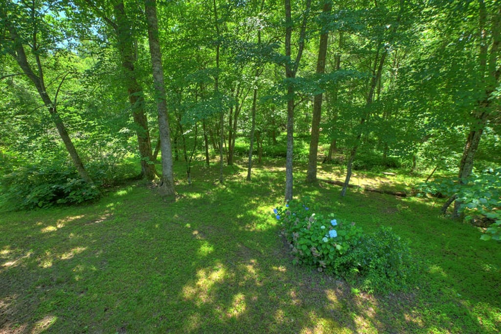 6385 Hwy 2, Epworth GA 30541 - Photo