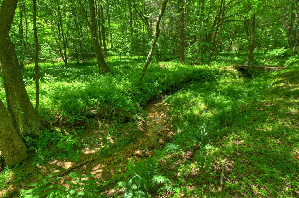 6385 Hwy 2, Epworth GA 30541 - Photo