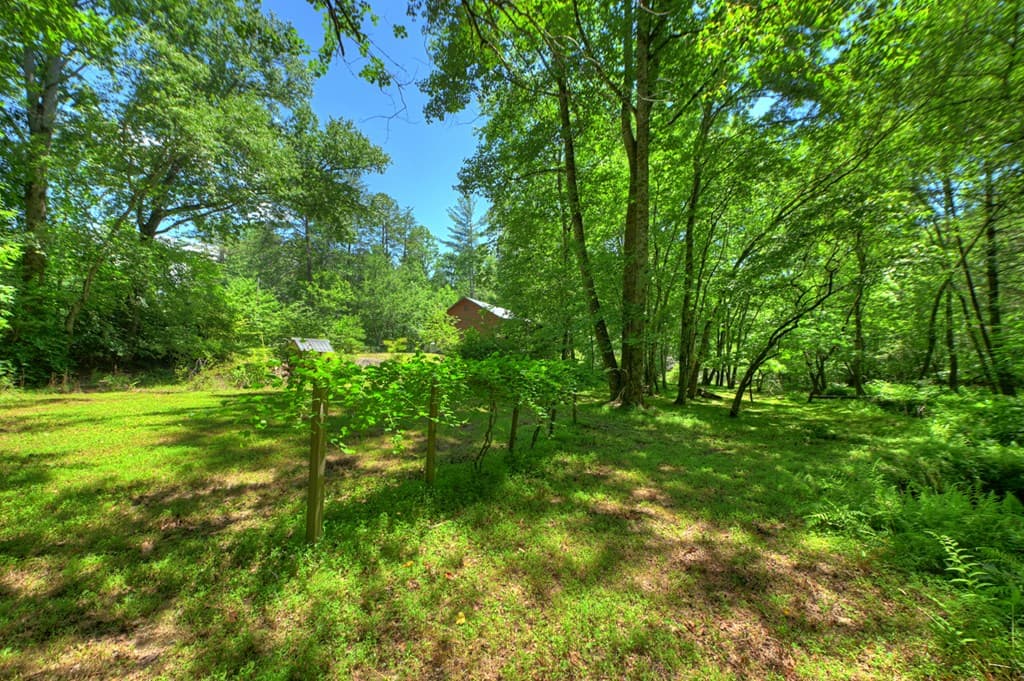 6385 Hwy 2, Epworth GA 30541 - Photo