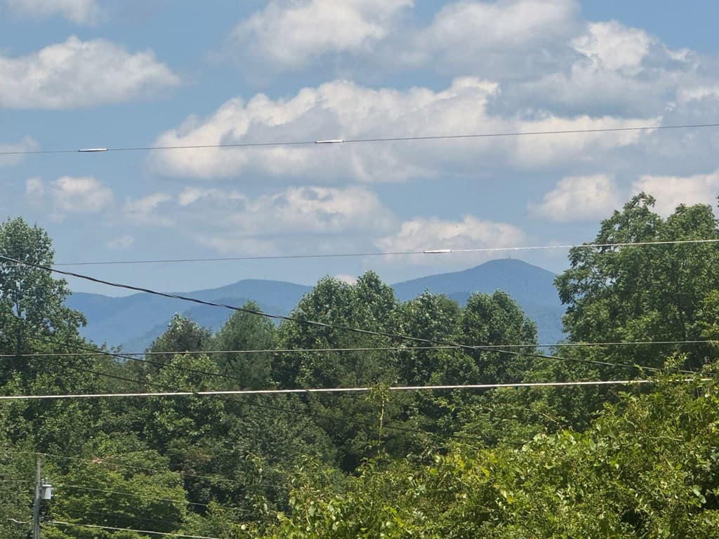 28 Honaker Road, Blairsville GA 30512 - Photo