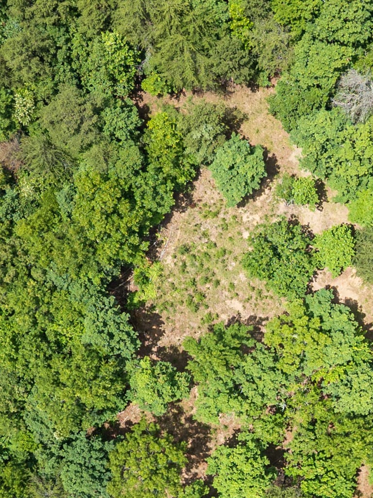 Lt 1 Stormy Ridge, Brasstown NC 28902 - Photo
