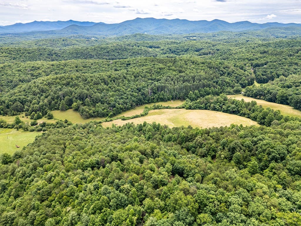 Lt 1 Stormy Ridge, Brasstown NC 28902 - Photo