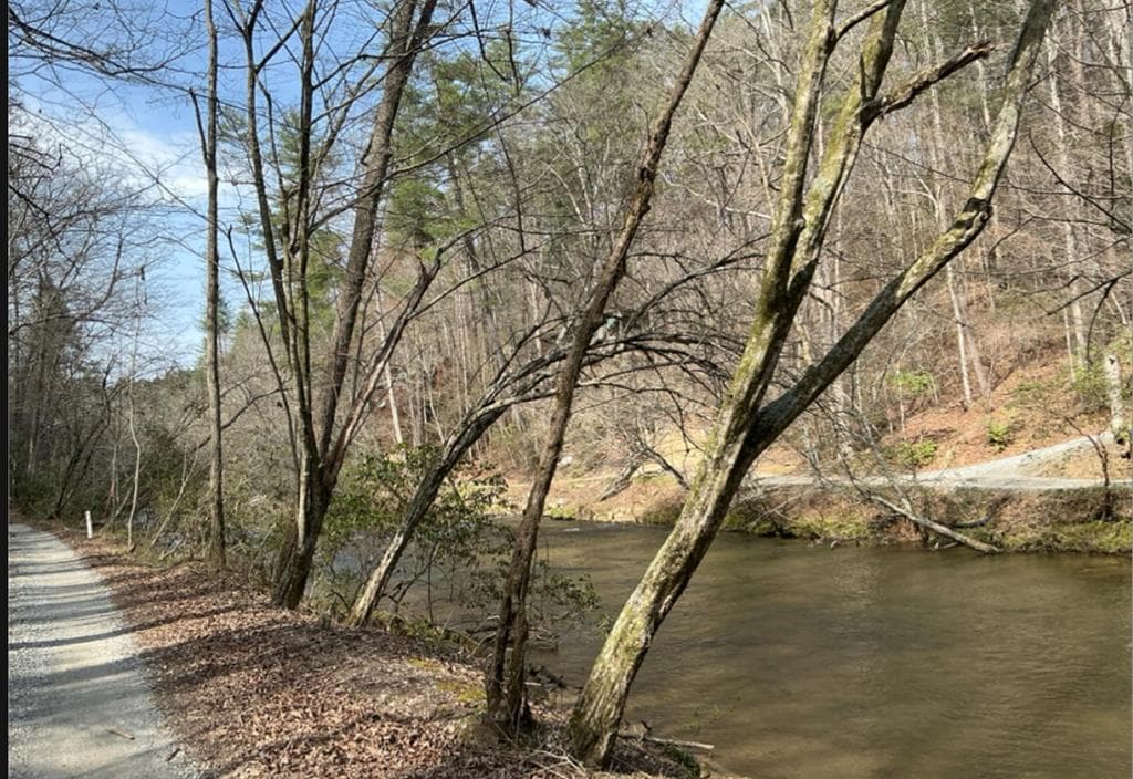 32R Roaring Forks Lane, Ellijay GA 30540 - Primary photo
