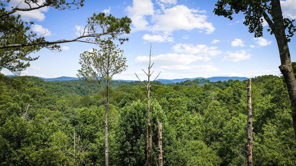 290 Graham Court, Ellijay GA 30540 - Photo
