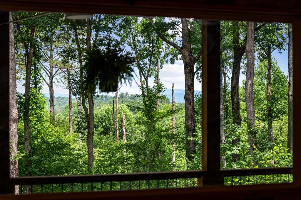 290 Graham Court, Ellijay GA 30540 - Photo