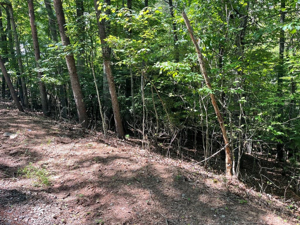 0 Rizzitello Lane, Blairsville GA 30512 - Photo