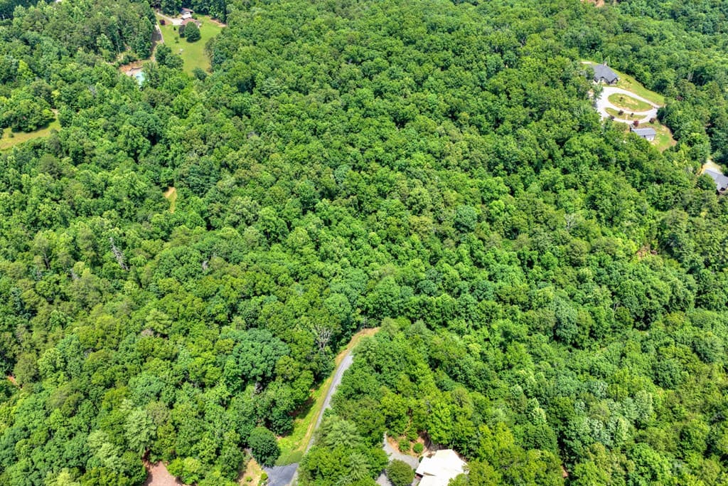 26.29 AC Bullen Gap Road, Blue Ridge GA 30513 - Photo