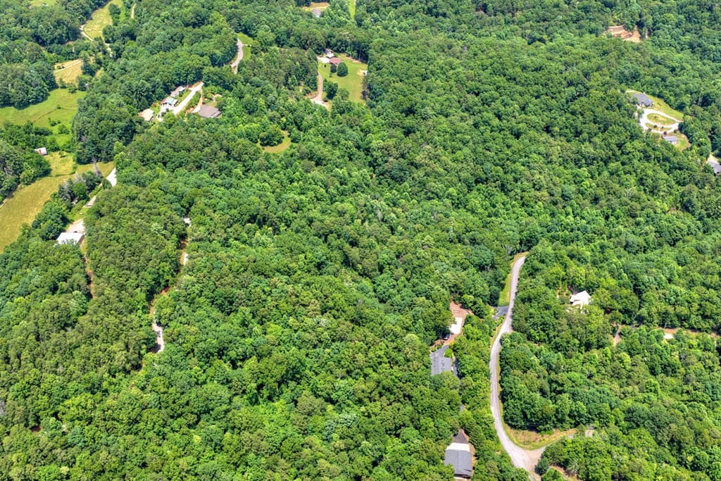 26.29 AC Bullen Gap Road, Blue Ridge GA 30513 - Photo