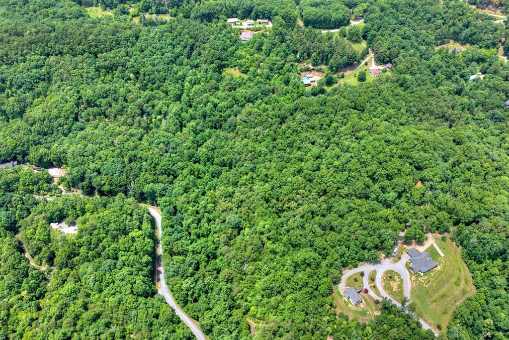 26.29 AC Bullen Gap Road, Blue Ridge GA 30513 - Photo